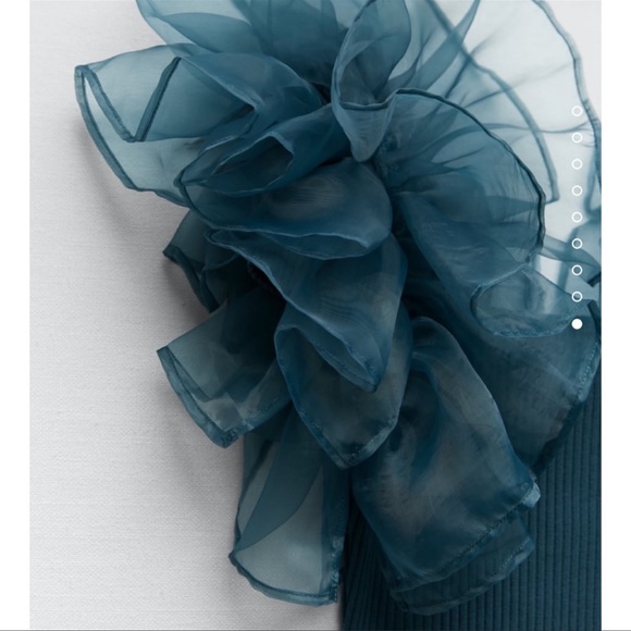 Zara Contrasting Organza Top - Picture 7 of 9